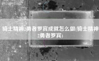 骑士精神2勇者罗宾成就怎么做(骑士精神2勇者罗宾)