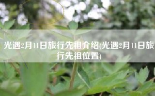 光遇2月11日旅行先祖介绍(光遇2月11日旅行先祖位置)