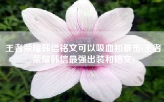 王者荣耀韩信铭文可以吸血和暴击(王者荣耀韩信最强出装和铭文)