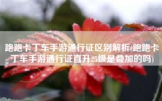 跑跑卡丁车手游通行证区别解析(跑跑卡丁车手游通行证直升25级是叠加的吗)