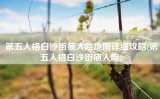 第五人格白沙街疯人院地图详细攻略(第五人格白沙街疯人院)