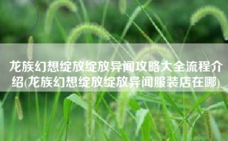 龙族幻想绽放绽放异闻攻略大全流程介绍(龙族幻想绽放绽放异闻服装店在哪)