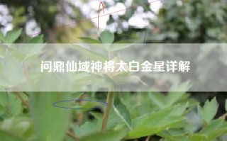 问鼎仙域神将太白金星详解