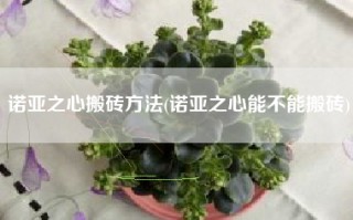 诺亚之心搬砖方法(诺亚之心能不能搬砖)