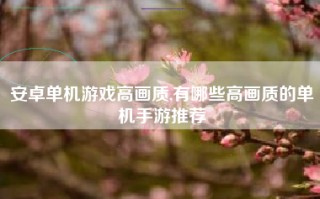 安卓单机游戏高画质,有哪些高画质的单机手游推荐