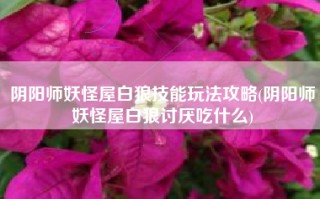 阴阳师妖怪屋白狼技能玩法攻略(阴阳师妖怪屋白狼讨厌吃什么)