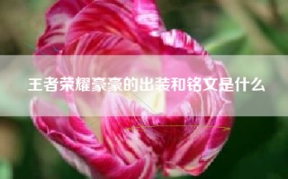 王者荣耀豪豪的出装和铭文是什么