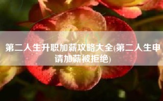 第二人生升职加薪攻略大全(第二人生申请加薪被拒绝)