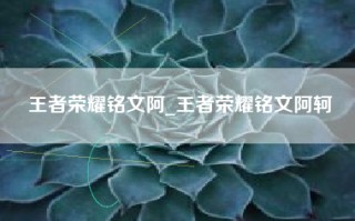 王者荣耀铭文阿_王者荣耀铭文阿轲