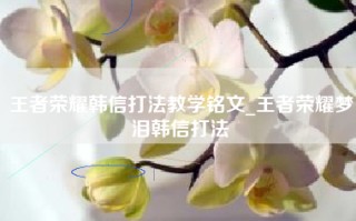 王者荣耀韩信打法教学铭文_王者荣耀梦泪韩信打法