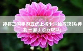 神将三国手游五虎上将卡池抽取攻略(神将三国手游五虎队)