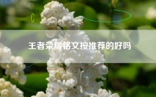 王者荣耀铭文按推荐的好吗