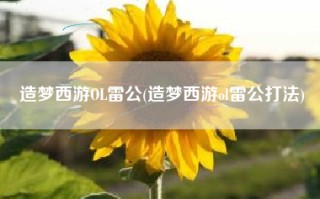 造梦西游OL雷公(造梦西游ol雷公打法)