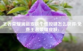 王者荣耀澜新皮肤个性按键怎么获得(免费王者荣耀皮肤)