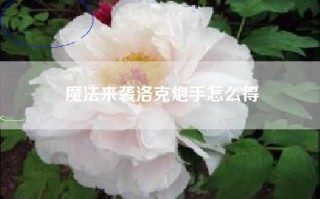 魔法来袭洛克炮手怎么得