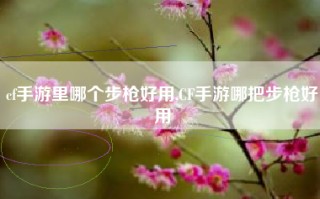 cf手游里哪个步枪好用,CF手游哪把步枪好用