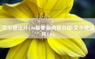 艾尔登法环1.06版更新内容介绍(艾尔登法环1.04)