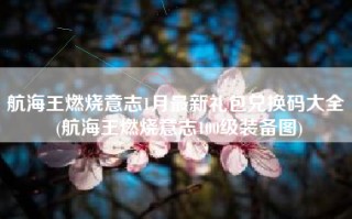 航海王燃烧意志1月最新礼包兑换码大全 (航海王燃烧意志100级装备图)