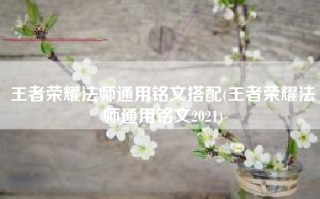 王者荣耀法师通用铭文搭配(王者荣耀法师通用铭文2021)