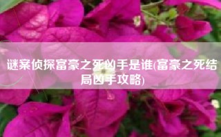 谜案侦探富豪之死凶手是谁(富豪之死结局凶手攻略)