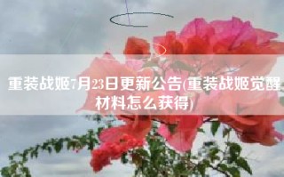 重装战姬7月23日更新公告(重装战姬觉醒材料怎么获得)
