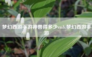 梦幻西游手游神兽得多少rmb,梦幻西游手游