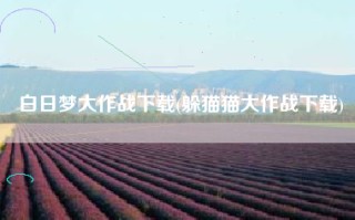 白日梦大作战下载(躲猫猫大作战下载)