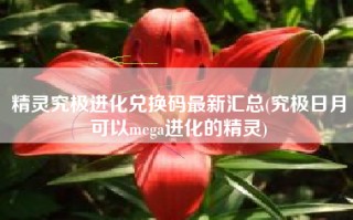 精灵究极进化兑换码最新汇总(究极日月可以mega进化的精灵)