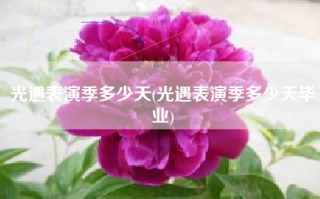 光遇表演季多少天(光遇表演季多少天毕业)