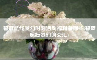 碧蓝航线梦幻时刻活动福利有哪些(碧蓝航线梦幻的交汇)