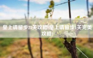 皇上请留步23关攻略(皇上请留步1关完美攻略)