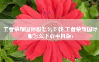 王者荣耀国际服怎么下载(王者荣耀国际服怎么下载手机版)