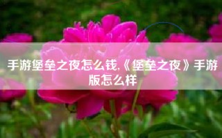 手游堡垒之夜怎么钱,《堡垒之夜》手游版怎么样