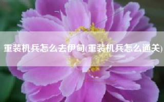 重装机兵怎么去伊甸(重装机兵怎么通关)