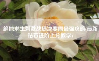 绝地求生刺激战场决赛圈最强攻略(最新钻石进阶上分教学)