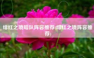 绯红之境暗队阵容推荐(绯红之境阵容推荐)