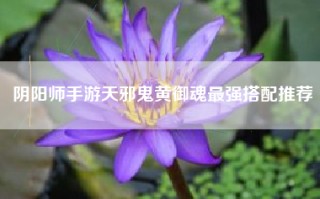 阴阳师手游天邪鬼黄御魂最强搭配推荐