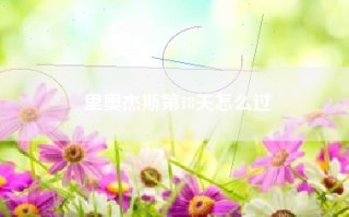 里奥杰斯第18关怎么过