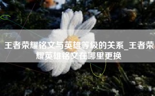王者荣耀铭文与英雄等级的关系_王者荣耀英雄铭文在哪里更换