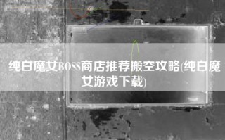 纯白魔女BOSS商店推荐搬空攻略(纯白魔女游戏下载)