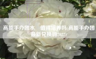 高能手办团水咲值得培养吗(高能手办团最新兑换码2022)