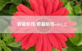 碧蓝航线(碧蓝航线wiki)_2