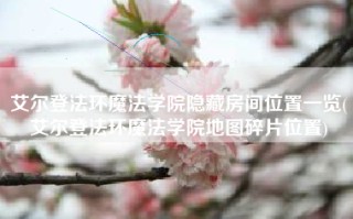 艾尔登法环魔法学院隐藏房间位置一览(艾尔登法环魔法学院地图碎片位置)