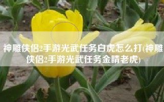神雕侠侣2手游光武任务白虎怎么打(神雕侠侣2手游光武任务金睛老虎)