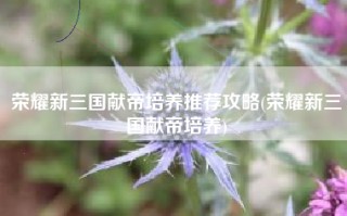 荣耀新三国献帝培养推荐攻略(荣耀新三国献帝培养)