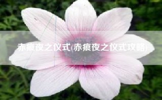 赤痕夜之仪式(赤痕夜之仪式攻略)
