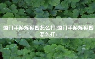 蜀门手游炼狱四怎么打(蜀门手游炼狱四怎么打)