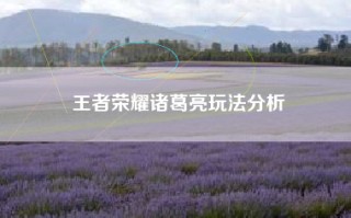 王者荣耀诸葛亮玩法分析