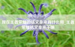 现在王者荣耀的铭文拿来有什么用_王者荣耀铭文拿来干嘛