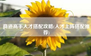 商道高手人才搭配攻略(人才上阵搭配推荐)